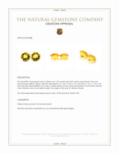 10.18 Ct.Tw.Total Carat Weight Yellow Citrine Pair from Brazil Appraisal