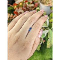 0.53&nbsp;Ct.Tw.Total Carat Weight Blue Sapphire Pair from Ceylon (Sri Lanka) Life Style