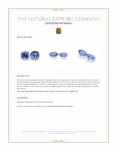 0.69&nbsp;Ct.Tw.Total Carat Weight Blue Sapphire Pair from Ceylon (Sri Lanka) Appraisal