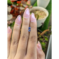 0.69&nbsp;Ct.Tw.Total Carat Weight Blue Sapphire Pair from Ceylon (Sri Lanka) Life Style
