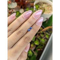 0.69&nbsp;Ct.Tw.Total Carat Weight Blue Sapphire Pair from Ceylon (Sri Lanka) Life Style