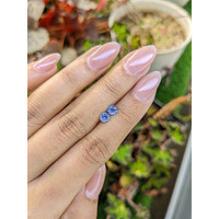 0.82&nbsp;Ct.Tw.Total Carat Weight Blue Sapphire Pair from Ceylon (Sri Lanka) Life Style