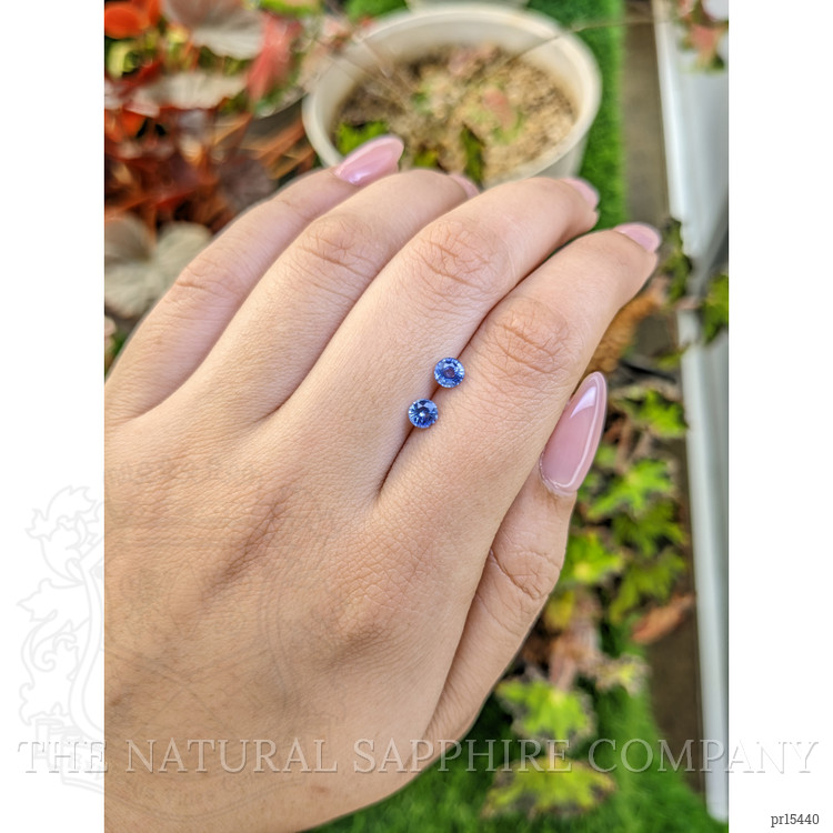 0.68 Ct.Tw. Blue Sapphire Pair from Ceylon (Sri Lanka)