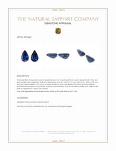 1.07&nbsp;Ct.Tw.Total Carat Weight Blue Sapphire Pair from Ceylon (Sri Lanka) Appraisal