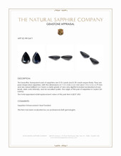 1.48 Ct.Tw.Total Carat Weight Blue Sapphire Pair from Ceylon (Sri Lanka) Appraisal