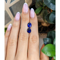 6.00&nbsp;Ct.Tw.Total Carat Weight Blue Sapphire Pair from Ceylon (Sri Lanka) Life Style