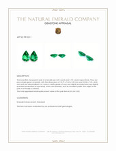 3.97&nbsp;Ct.Tw.Total Carat Weight Emerald Pair from Zambia Appraisal
