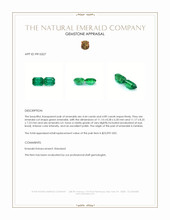 9.33&nbsp;Ct.Tw.Total Carat Weight Emerald Pair from Zambia Appraisal