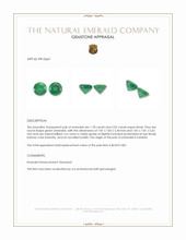3.81&nbsp;Ct.Tw.Total Carat Weight Emerald Pair from Zambia Appraisal