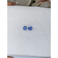 0.60&nbsp;Ct.Tw.Total Carat Weight Blue Sapphire Pair from Ceylon (Sri Lanka) Life Style