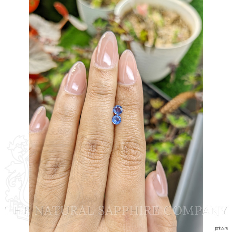 0.60 Ct.Tw. Blue Sapphire Pair from Ceylon (Sri Lanka)