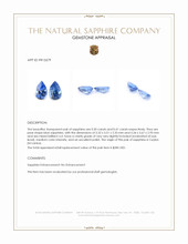 0.71&nbsp;Ct.Tw.Total Carat Weight Blue Sapphire Pair from Ceylon (Sri Lanka) Appraisal