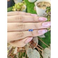 0.59&nbsp;Ct.Tw.Total Carat Weight Blue Sapphire Pair from Ceylon (Sri Lanka) Life Style