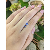 0.71&nbsp;Ct.Tw.Total Carat Weight Blue Sapphire Pair from Ceylon (Sri Lanka) Life Style