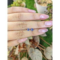 0.71&nbsp;Ct.Tw.Total Carat Weight Blue Sapphire Pair from Ceylon (Sri Lanka) Life Style