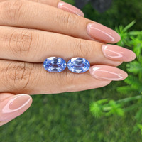 6.58&nbsp;Ct.Tw.Total Carat Weight Blue Sapphire Pair from Ceylon (Sri Lanka) Life Style