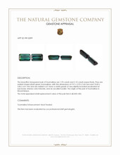 4.05 Ct.Tw.Total Carat Weight Bluish Green Tourmaline Pair from Mozambique Appraisal