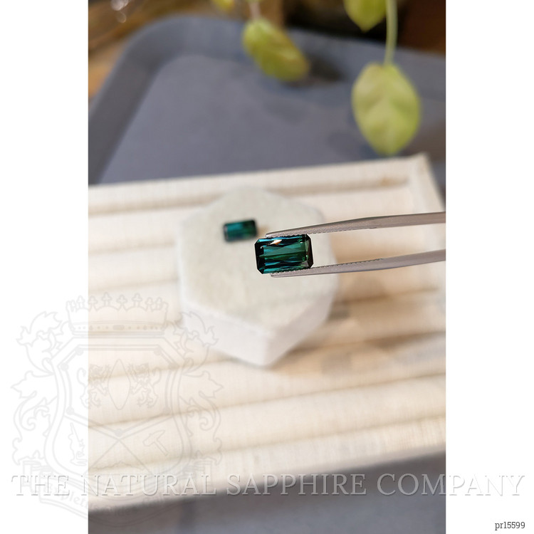 4.05 Ct.Tw. Bluish Green Tourmaline Pair from Mozambique
