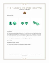 0.29 Ct.Tw.Total Carat Weight Emerald Pair from Zambia Appraisal