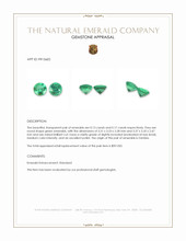 0.30 Ct.Tw.Total Carat Weight Emerald Pair from Zambia Appraisal