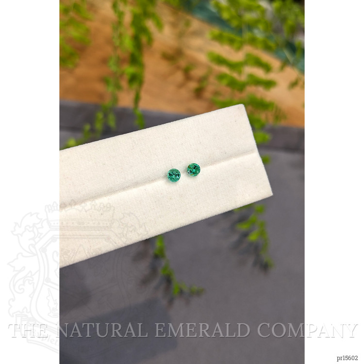 0.30 Ct.Tw. Emerald Pair from Zambia