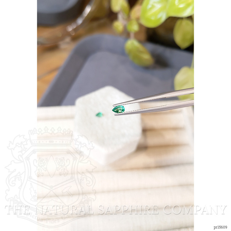 0.34 Ct.Tw. Emerald Pair from Zambia