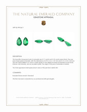 0.35 Ct.Tw.Total Carat Weight Emerald Pair from Zambia Appraisal