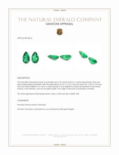 0.39 Ct.Tw.Total Carat Weight Emerald Pair from Zambia Appraisal