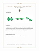 0.47 Ct.Tw.Total Carat Weight Emerald Pair from Zambia Appraisal