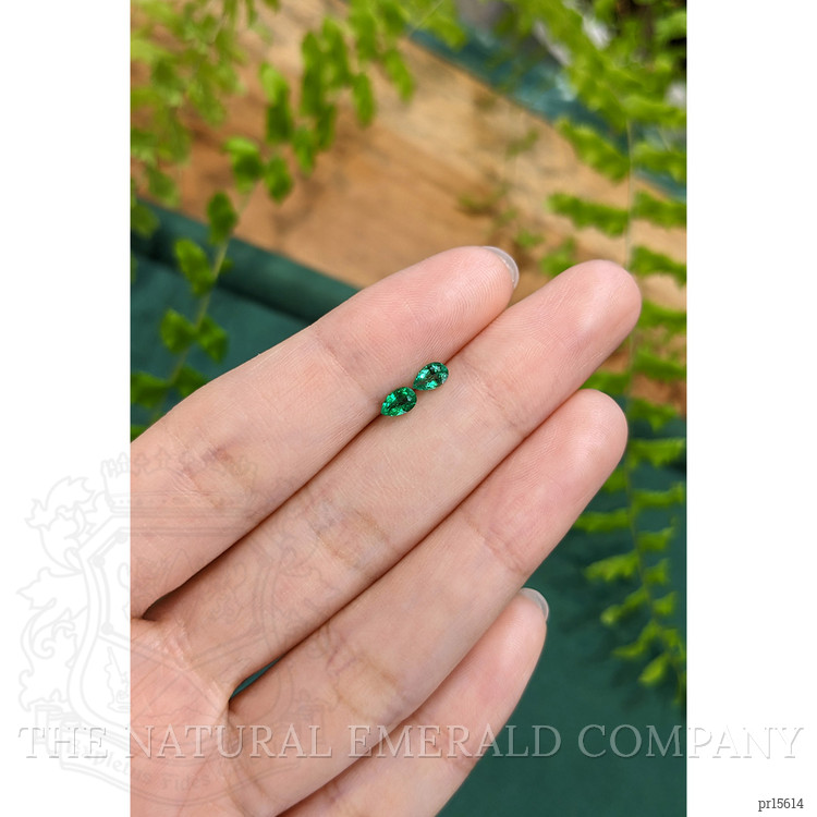 0.47 Ct.Tw. Emerald Pair from Zambia