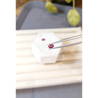 0.76&nbsp;Ct.Tw.Total Carat Weight Ruby Pair from Ceylon (Sri Lanka) Life Style