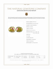 13.83&nbsp;Ct.Tw.Total Carat Weight Watermelon Tourmaline Pair from Mozambique Scan Report