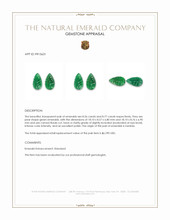 17.33 Ct.Tw.Total Carat Weight Emerald Pair from Zambia Appraisal