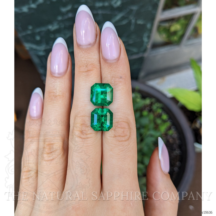 12.20 Ct.Tw. Emerald Pair from Colombia