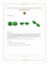 6.20 Ct.Tw.Total Carat Weight Tsavorite Garnet Pair from Tanzania Appraisal