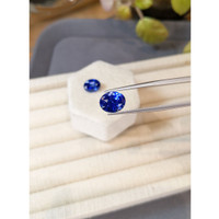 11.35&nbsp;Ct.Tw.Total Carat Weight Blue Sapphire Pair from Ceylon (Sri Lanka) Life Style