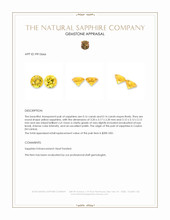0.30 Ct.Tw.Total Carat Weight Yellow Sapphire Pair from Ceylon (Sri Lanka) Appraisal