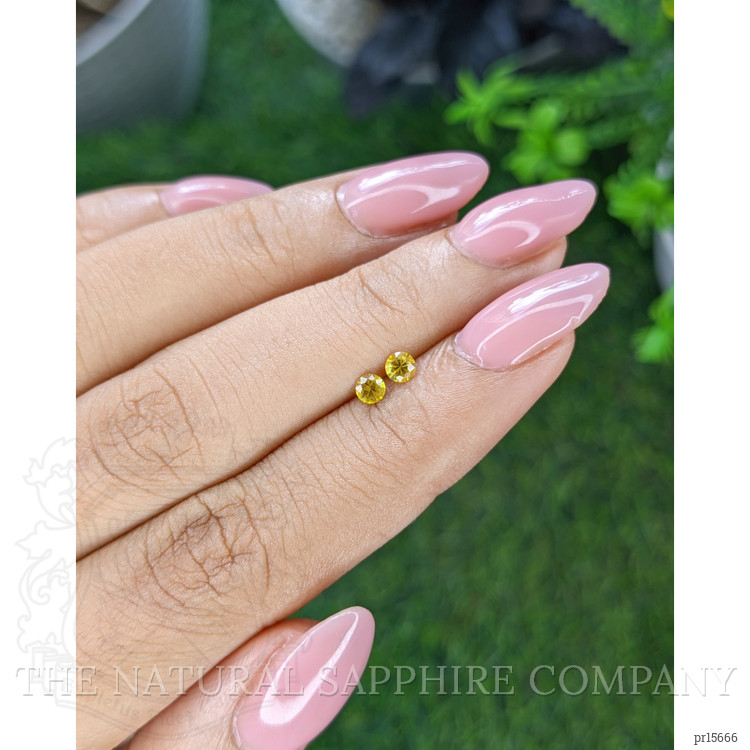 0.30 Ct.Tw. Yellow Sapphire Pair from Ceylon (Sri Lanka)