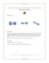 0.41&nbsp;Ct.Tw.Total Carat Weight Blue Sapphire Pair from Ceylon (Sri Lanka) Appraisal
