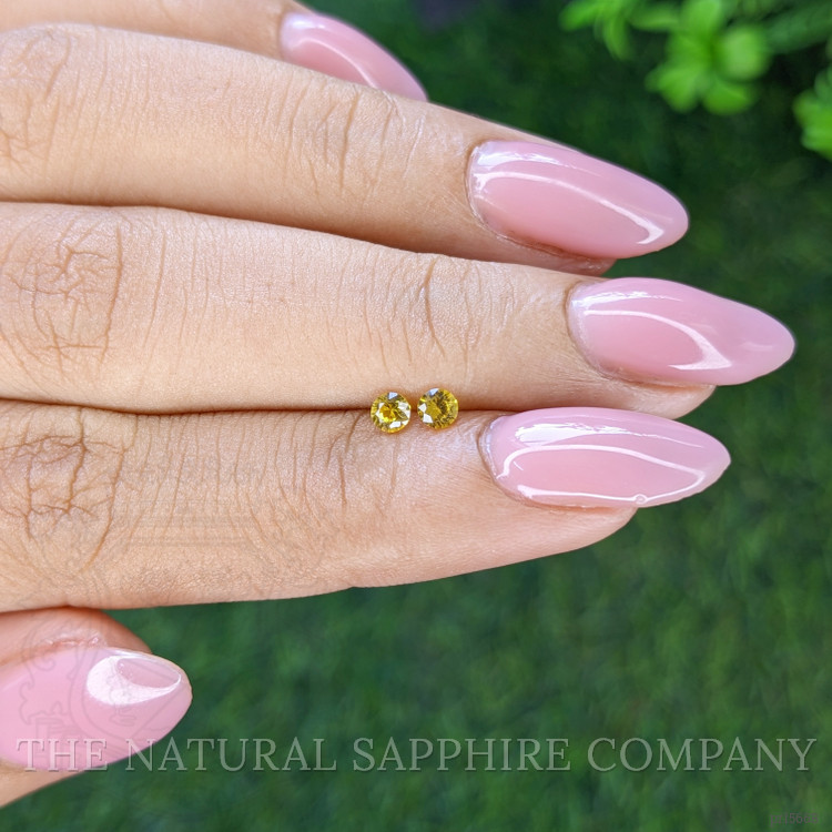 0.27 Ct.Tw. Yellow Sapphire Pair from Ceylon (Sri Lanka)