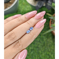 0.62&nbsp;Ct.Tw.Total Carat Weight Blue Sapphire Pair from Ceylon (Sri Lanka) Life Style