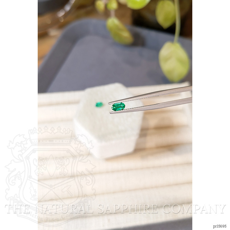 0.55 Ct.Tw. Emerald Pair from Afghanistan