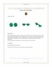 0.80 Ct.Tw.Total Carat Weight Emerald Pair from Afghanistan Appraisal