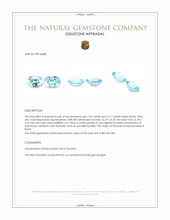 5.15&nbsp;Ct.Tw.Total Carat Weight Blue Aquamarine Pair from Brazil Appraisal