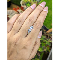 1.77&nbsp;Ct.Tw.Total Carat Weight Blue Sapphire Pair from Ceylon (Sri Lanka) Life Style