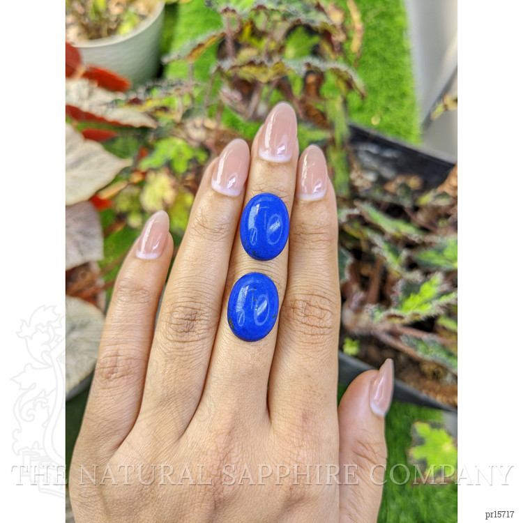 25.86 Ct.Tw. Cabochon Lapis Pair from Afghanistan