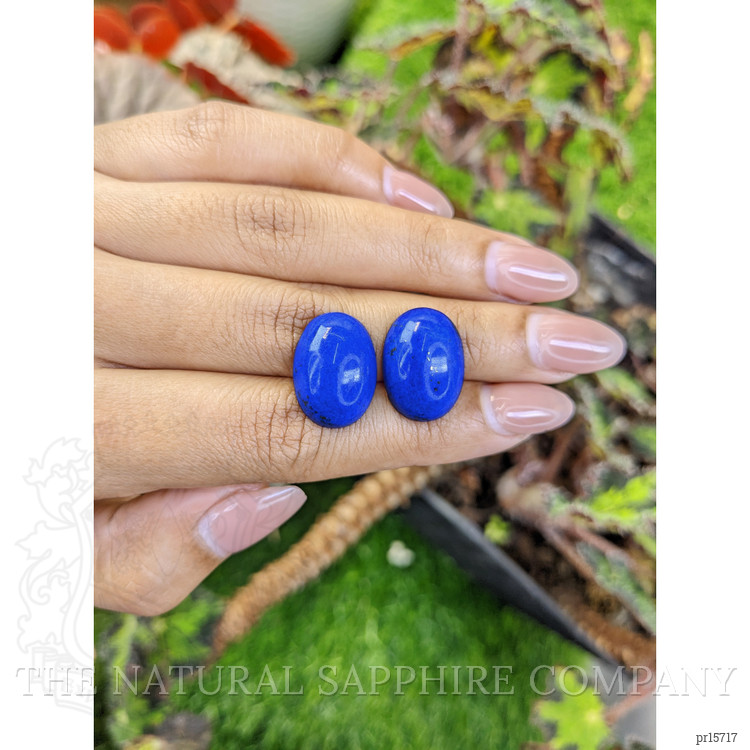 25.86 Ct.Tw. Cabochon Lapis Pair from Afghanistan