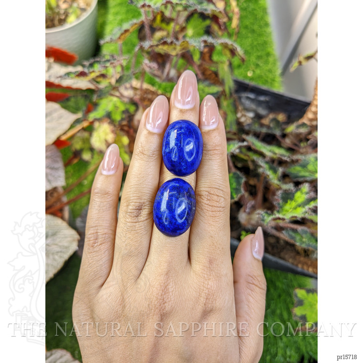 65.32 Ct.Tw. Cabochon Lapis Pair from Afghanistan