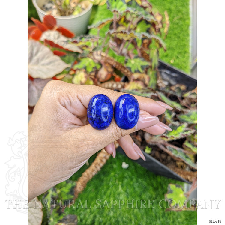 65.32 Ct.Tw. Cabochon Lapis Pair from Afghanistan