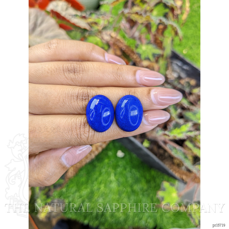 37.03 Ct.Tw. Cabochon Lapis Pair from Afghanistan